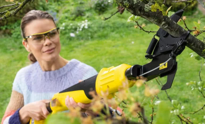 Cięcie drzew owocowych: kiedy, jak i czym?